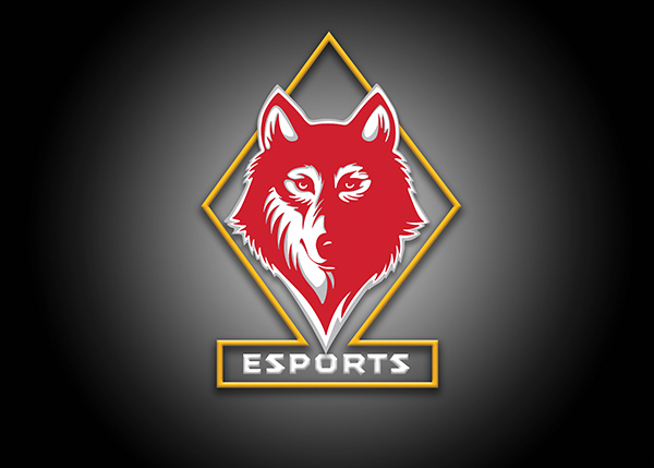 Esports Logo